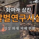 최문보 박사님의 의성군 말벌연구시설이 화마로 소실 이미지