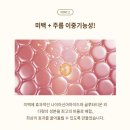 백설공주 에스테틱 - 경산시 | 백설공주 에스테틱