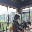 펫프로젝트 | [서울경기 애견미용봉사] 화성 &#39;엔젤프로젝트&#39; 애견 보호소, 출장목욕 펫브릿지 미용봉사 후기 🐶