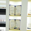 광명유치원 | (경기 광명) 체계적인 프로그램을 갖춘 광명강아지유치원 옐레드 광명점 후기