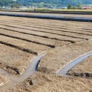 남해군농업기술센터 이미지