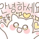 파라다이스힐링