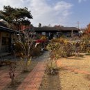 파베뉴 | [경기/파주] 파주 '파베뉴' 브런치 카페 방문 후기