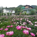 가평해피하우스 이미지