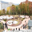 떼굴떼굴 이미지