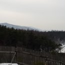 영동목장 이미지