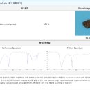 선부중앙동물의료센터 이미지