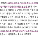 엔케이Co 이미지