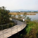 38선 숨길 디모테오길 이미지