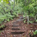 홍천 가칠봉(1241m)산행 이미지