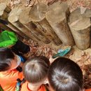 또래또래어린이집 이미지