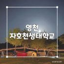 자호천생태학교 네이버블로그