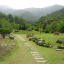 선화다실 이미지