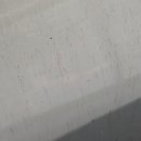 공룡모터스