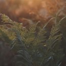 유니풀의원 이미지