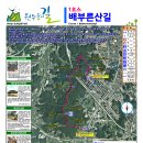 원주굽이길 2코스 700년노송길 이미지