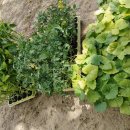 창암농장 이미지