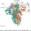 코로나19 기원을 밝혀낸 연구진들 이미지