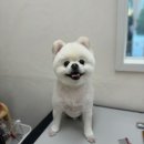 귀엽꾸멍 이미지