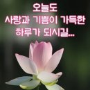 성질 급한 노처녀 이미지