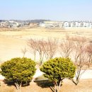 평택원정리유적 네이버블로그