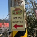 대구근교 김천캠핑장 월명612 벚꽃명소로 유명한 캠핑장 다녀왔습니다!