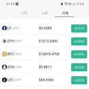 LT스토어