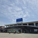 [국내 여행] 2박 3일 목포 여행기 1편 | 코롬방제과, 시화골목, 근대역사관