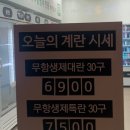 에그플 이미지
