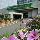 수원시청 이미지