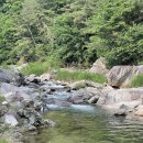 금방아 민박 캠핑장 이미지