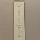 갤러리호텔 | 서울 호캉스 수영장 호텔 나루 서울 엠갤러리 내돈내산 후기