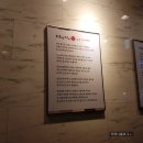 담방담방수제비