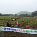 이광석농장 이미지