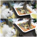 야심족발