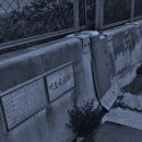 옛날곰탕 - 창원시 마산합포구 | 옛날곰탕