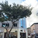 산호대로25길 이미지