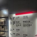 국립중앙박물관 새나라 새미술 조선 전기 미술 대전 무료 입장 후기. 주말 전시회 추천.