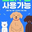 유앤미펫 강아지분양 고양이분양 위례점 이미지