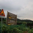 영산2리 이미지
