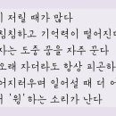 보영탕 이미지