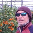 옥수농장 이미지