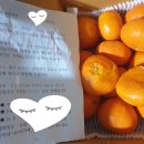 해민서푸드