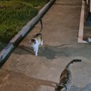 인하트풀빌라 | [숙소 후기] 경주 인하트풀빌라펜션