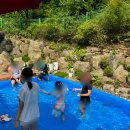 한터별빛펜션 이미지