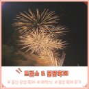 울산공업축제 폐막식 드론쇼와 불꽃축제 후기