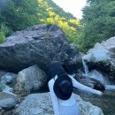 공임나라 선암점 | 영원히 휴가가 끝나지 않았으면