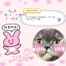 진추어탕 | &#39; 괴산소수면 숨겨진 &#39; 남가네 추어탕&amp;손만두 솔직한 후기