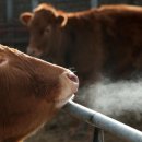 신재영농장 이미지