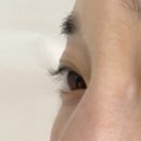 눈NOON | 분당 속눈썹샵 눈 NOON 에서 찾은 인생 속눈썹 후기